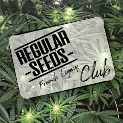 Buy Regular Cannabis Seeds - REGULAR SEED'S - French Legacy